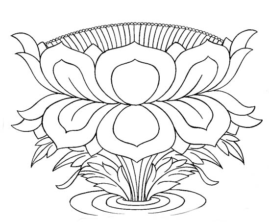 Lotus